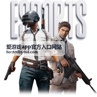 爱游戏app官方入口网站新手攻略之版本攻略